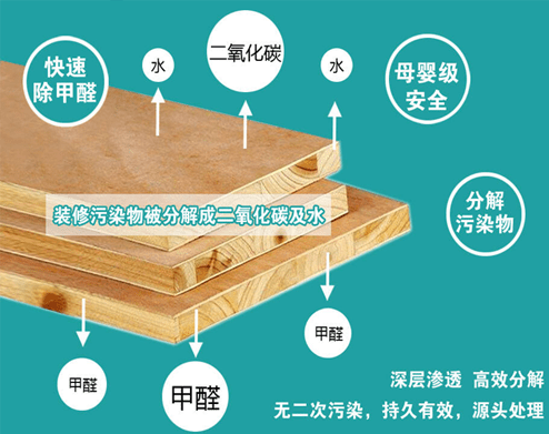 廣州除甲醛公司